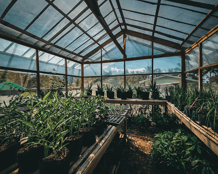 Green-Stream-Holdings-advances-NY-Solar-Greenhouses-Program.jpg