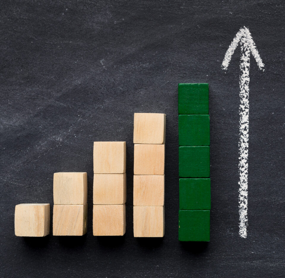 Asset integrity management services