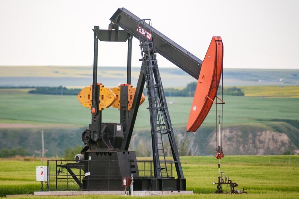 laredo oil